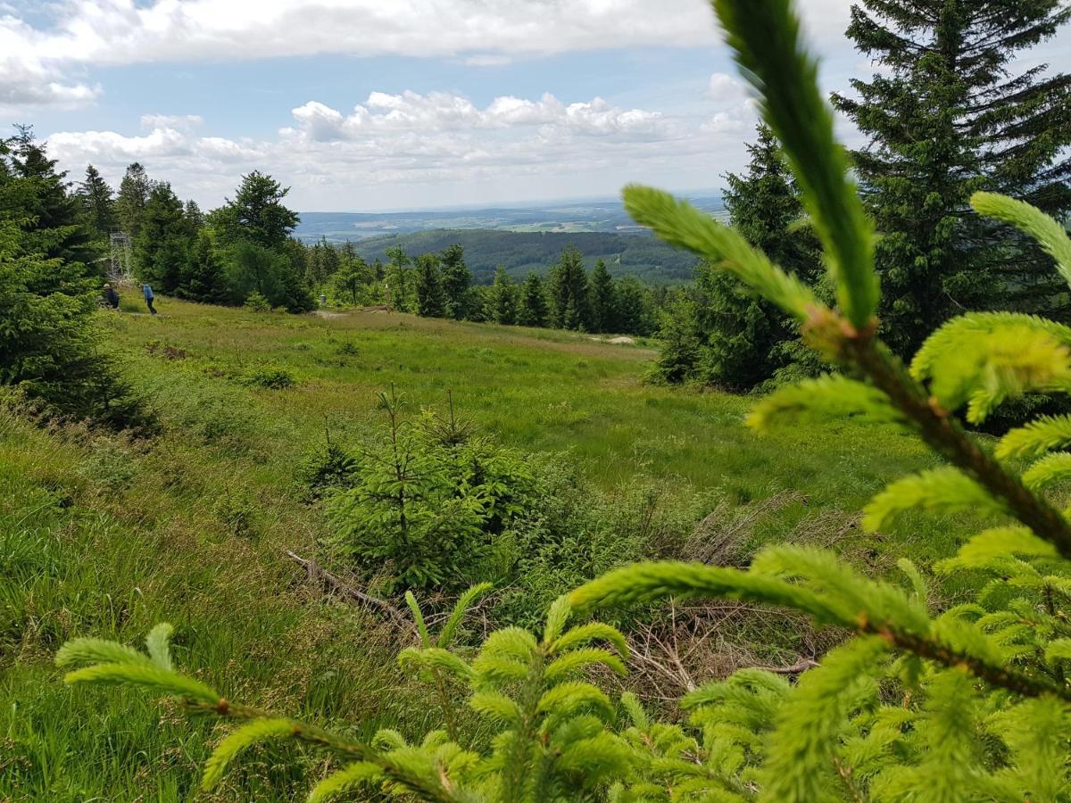 Vakantieappartement Achat Duitsland Wirschweiler Esterno foto