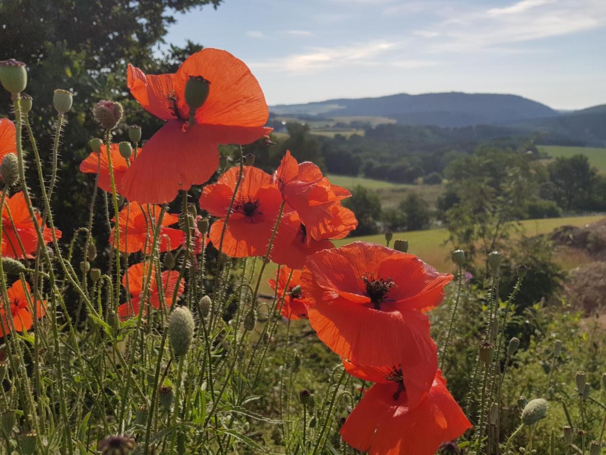 Vakantieappartement Achat Duitsland Wirschweiler Esterno foto